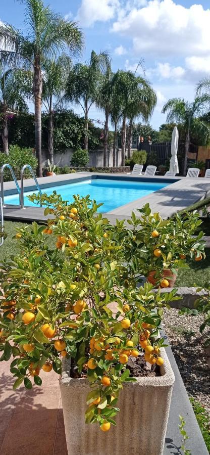Le Stanze Dei Colori Hotel Aci Bonaccorsi Exterior foto